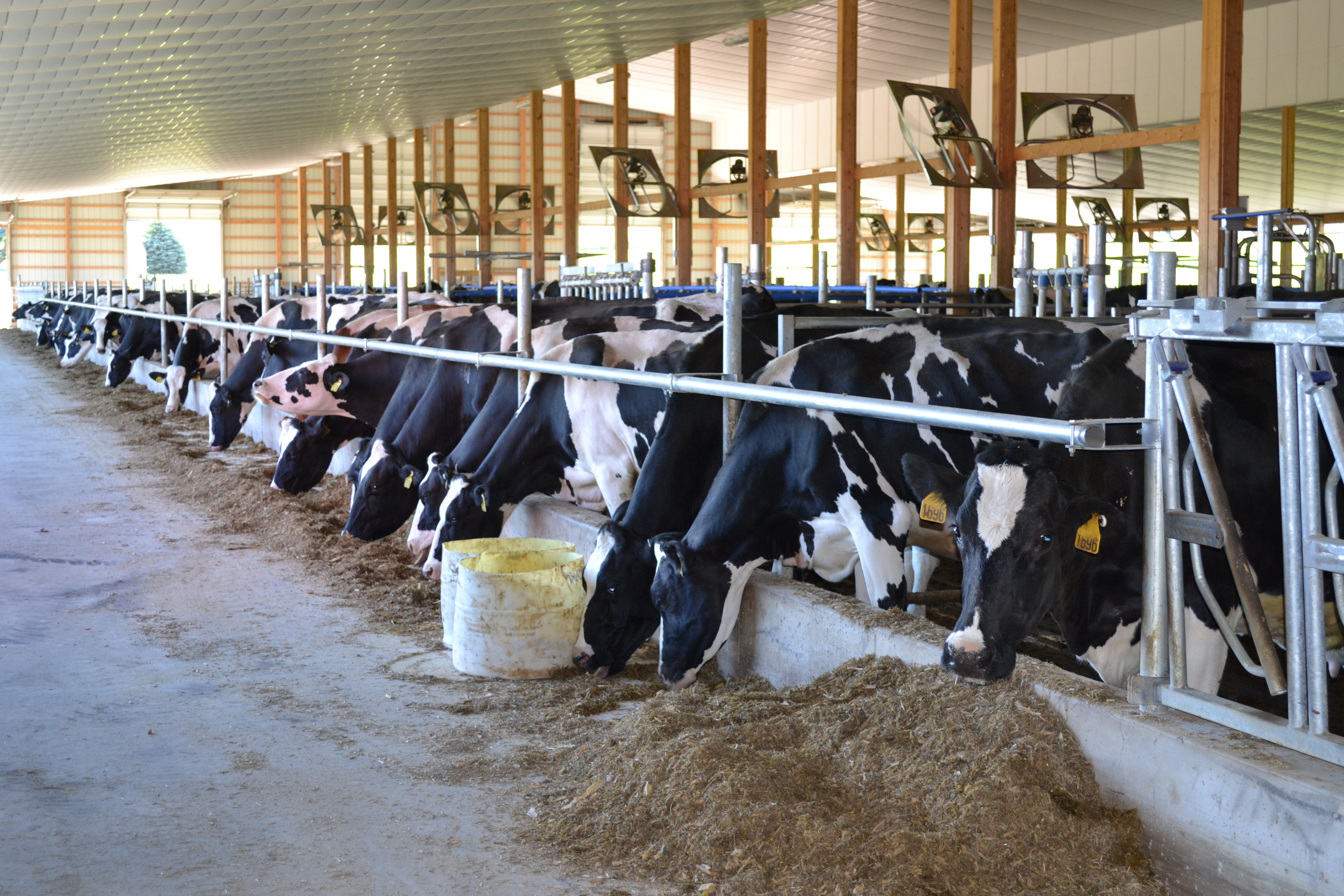 DeLaval Friendly Acres Dairy Friendly Acres