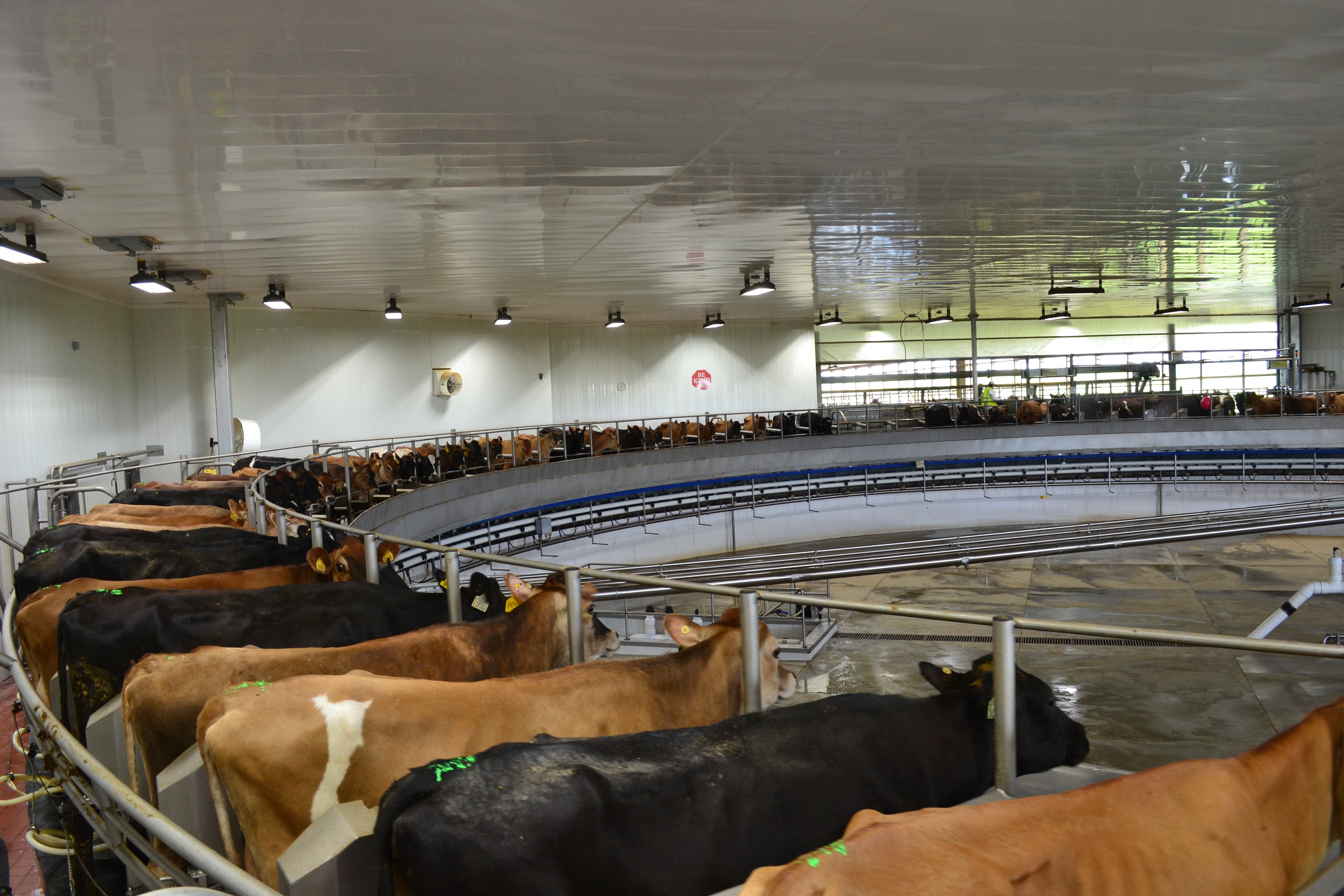 DeLaval Rotary PR3100HD Meadow Star Dairy