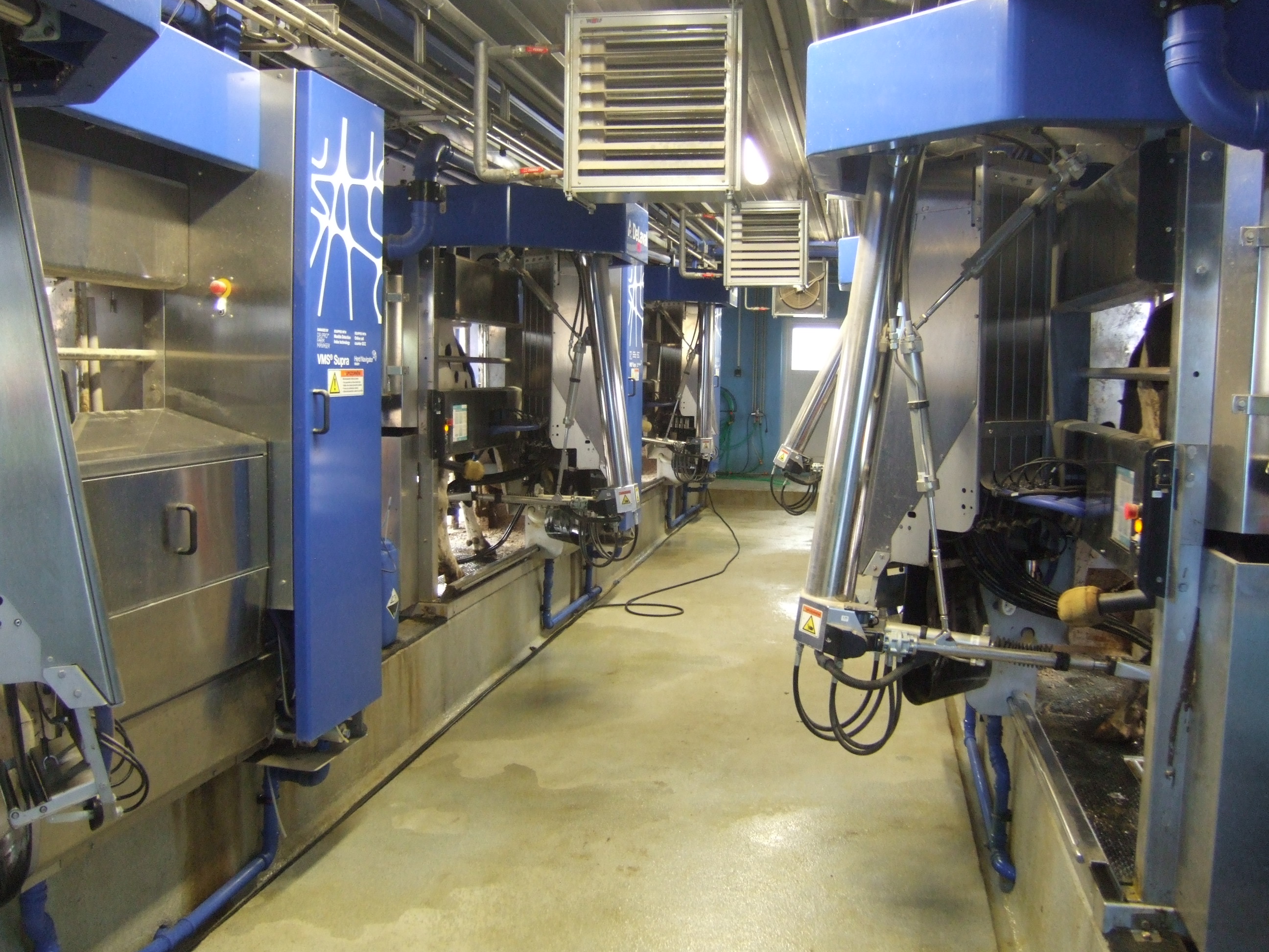 Zemědělské družstvo OSTAŠ, 6x VMS dojicích robotů