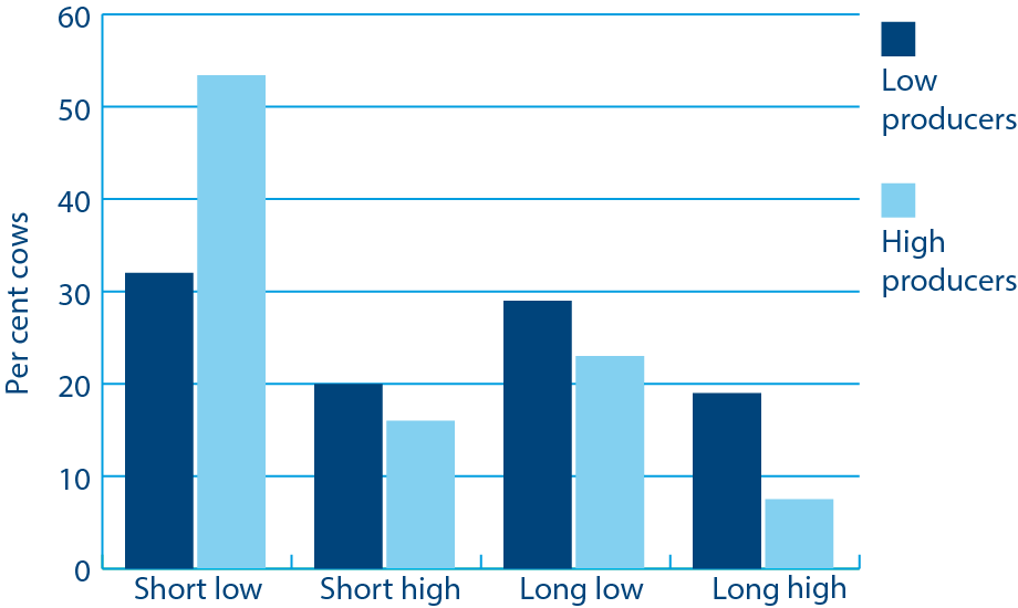 Nagy hozamú tejtermelő teheneknél rövidebb az ivarzás és kisebb az aktivitási szint. (Forrás:Lopez et al., 2004)