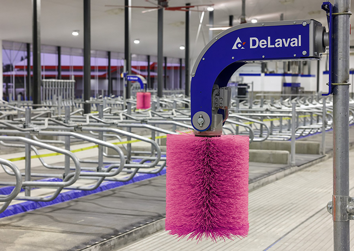 Bild 3: DeLaval Austausch-Zylinder SCB Pink