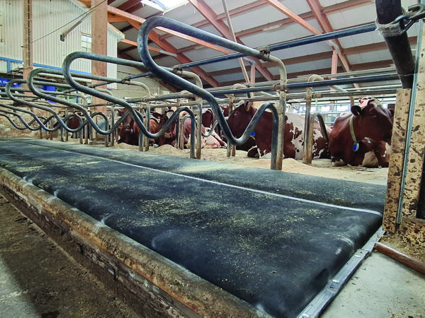 DeLaval cow mattress M55R?