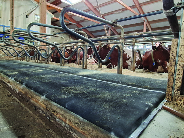 DeLaval cow mattress M55R?
