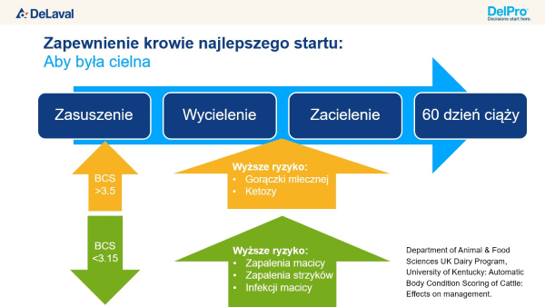 BCS a problemy zdrowotne.png