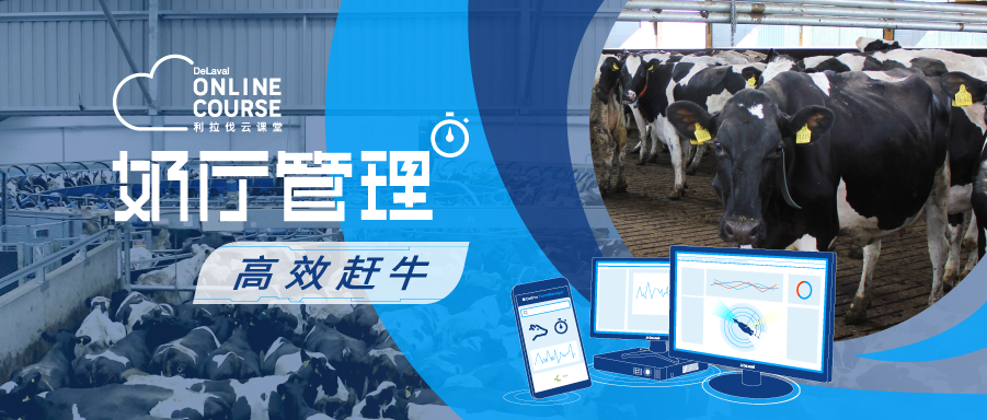 9.9. 赶牛直播. 微信封面.png