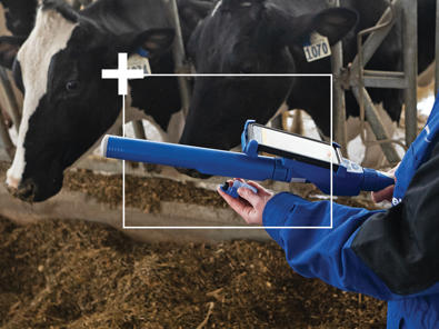 DeLaval Plus Behavior Analysis Find Sick Cows DeLaval Plus Behavior Analysis Helps Find Sick Cows Faster