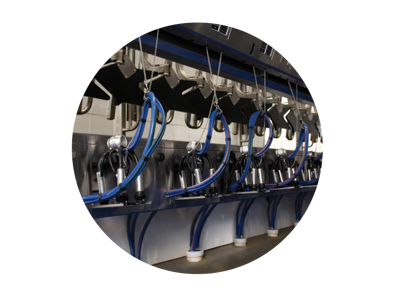 DeLaval Parallel Parlour P500 DeLaval Parallel Parlour