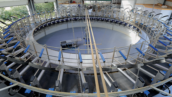 DeLaval E300 Rotary Parlour DeLaval E300 Rotary Parlour