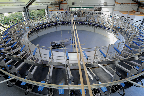 DeLaval E300 Rotary Parlour DeLaval E300 Rotary Parlour