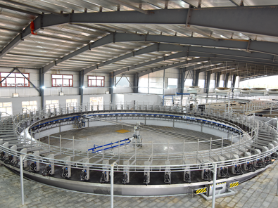 DeLaval E500 Rotary Parlour