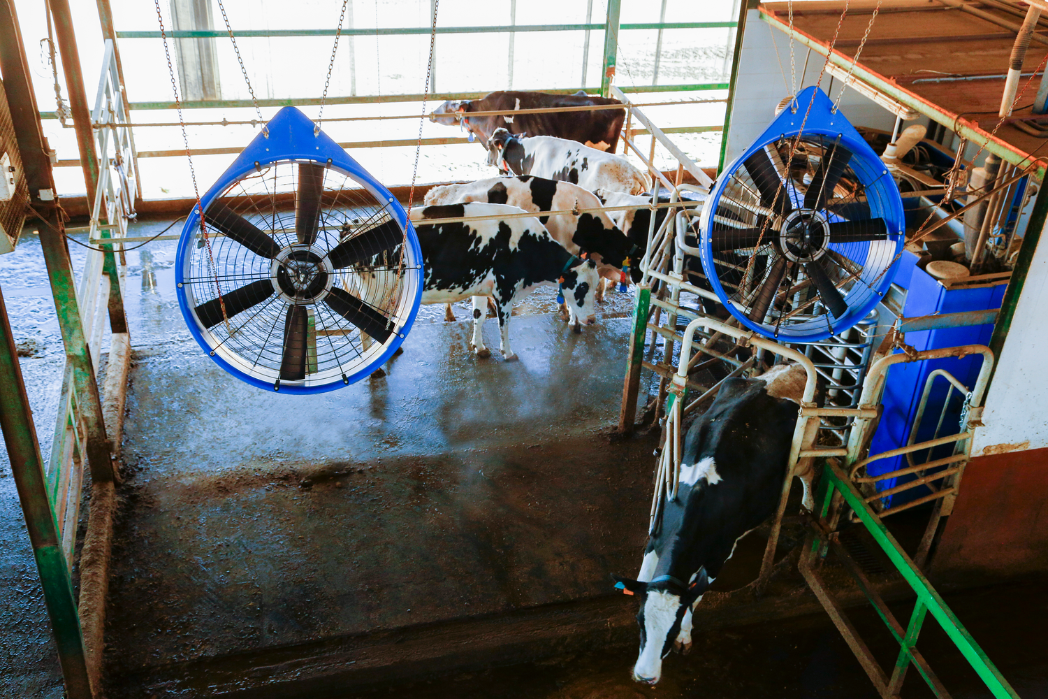 extra-DeLaval Cow Cooling with VMS.png