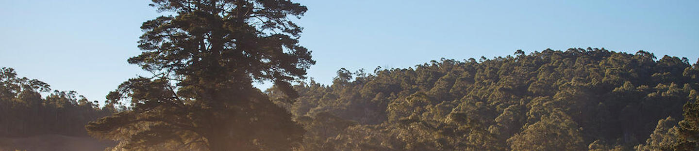 Premium aitaköysi BW6