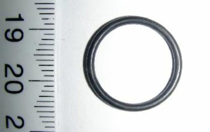 O-Ring 15,1 X 1,6