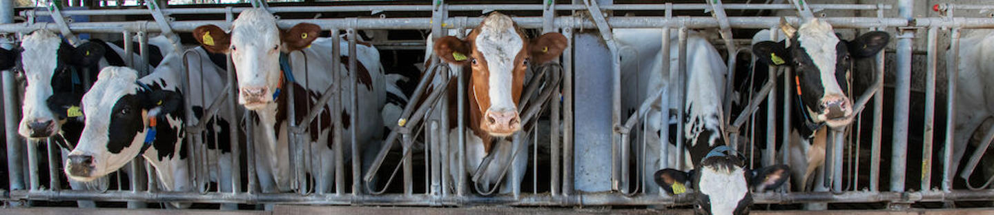 Vedinkastopullo kulmalla