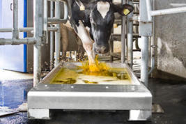 DeLaval 4Hooves™ Product image