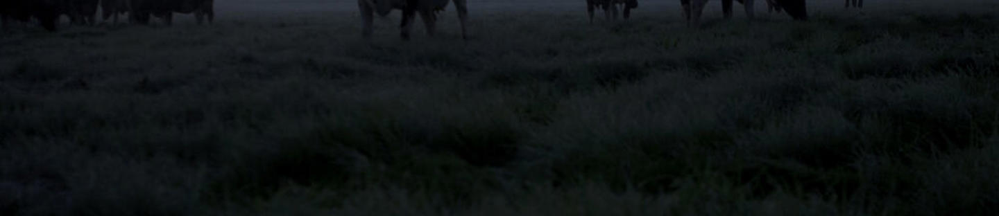 Rehu kaukalon kiinnike 1½"putk. T-malli