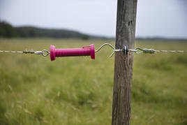 DeLaval standard gate handle Product image