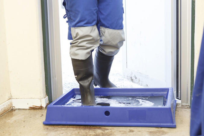 Allas ja vaahtomuovipatja -kokonaisuus