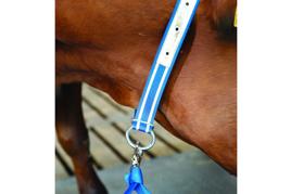 Collar DeLaval combi Imagen del producto