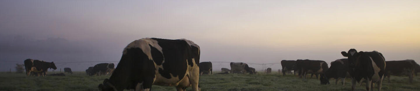 Liitäntäkaapeli yleismalli