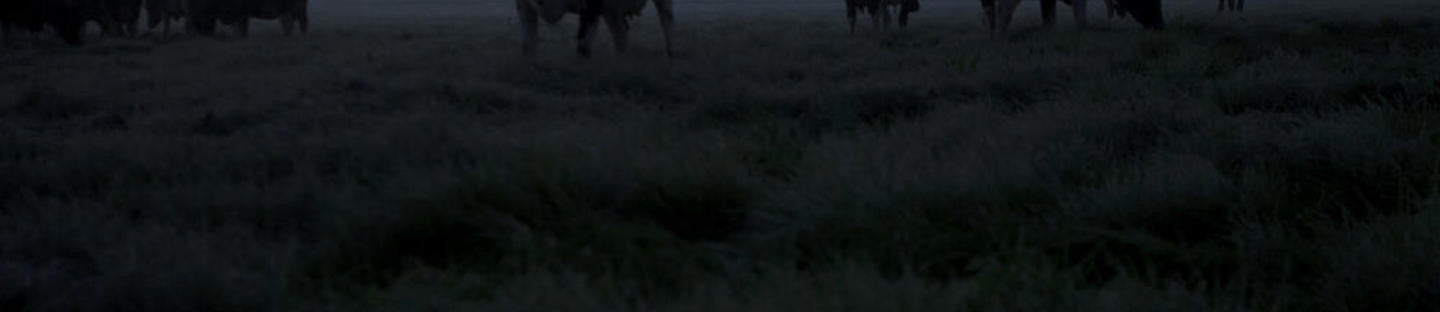 Maadoitussauva /tukijalka ESE7BS paimenelle