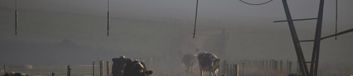 Akkukaapelit 12 V paimenakulle