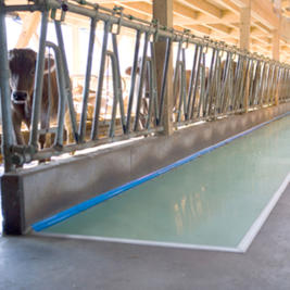 Foderbord skydd Product image