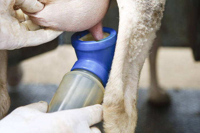 Vedinkastopullo kulmalla