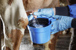 Prøvekopp uten antispruteplate Produktbilde