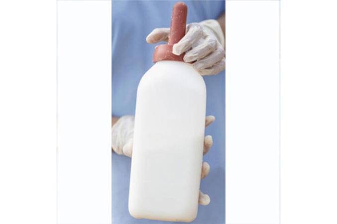 DeLaval calf bottle with nipple