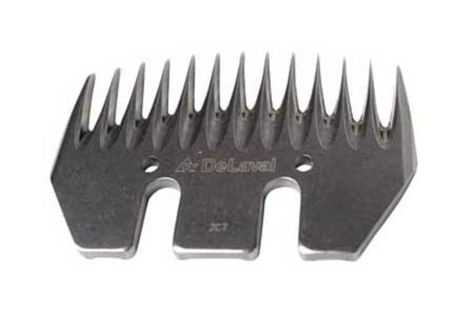 Terät lampaiden kerintään