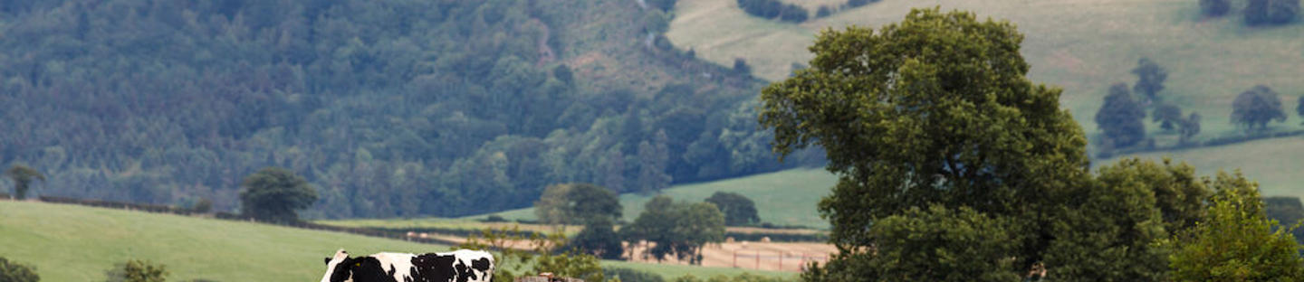 DeLaval aurinkopaneelit