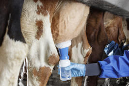 Biofoam Plus Imagen del producto