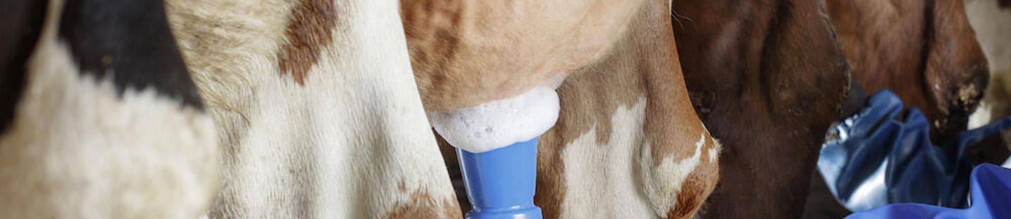 Vaahdotuskuppi Biofoam Plus vedinpesuvaahdolle