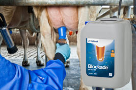 Blockade™ Bild des Produkts