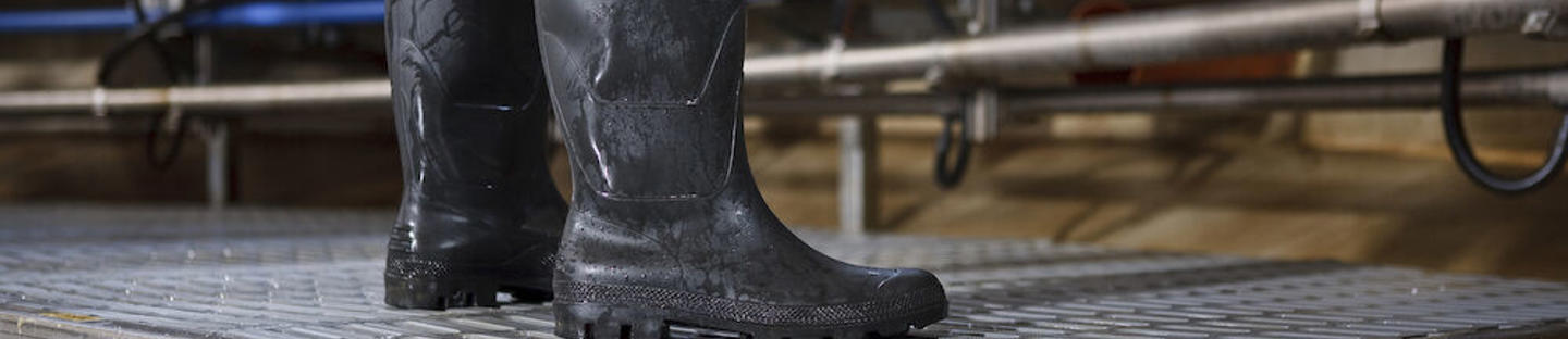 Limpiador de botas DeLaval