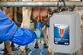 Bovidip concentraat Product image