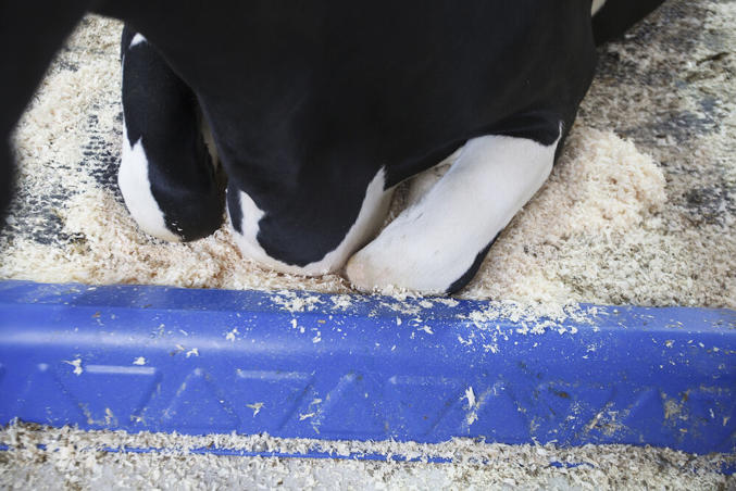 DeLaval brisket board BB120 & BB100