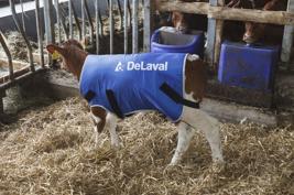 Calf coat Product image