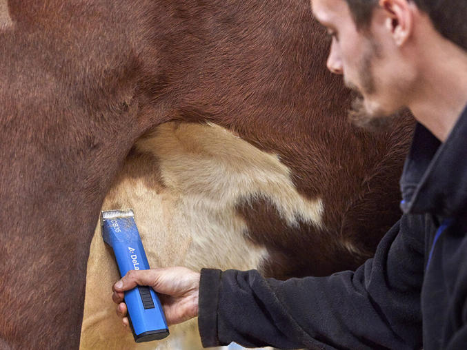 DeLaval trimmer CB35