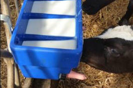 Calf milk feeder CN5 Product image