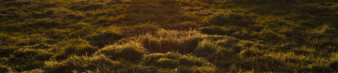 Standard aitalanka BL2