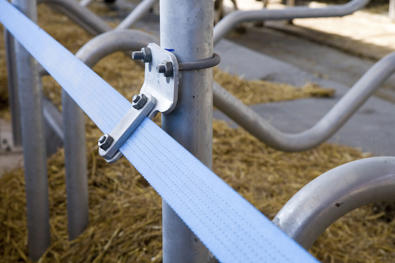 Flexibles Nackenband