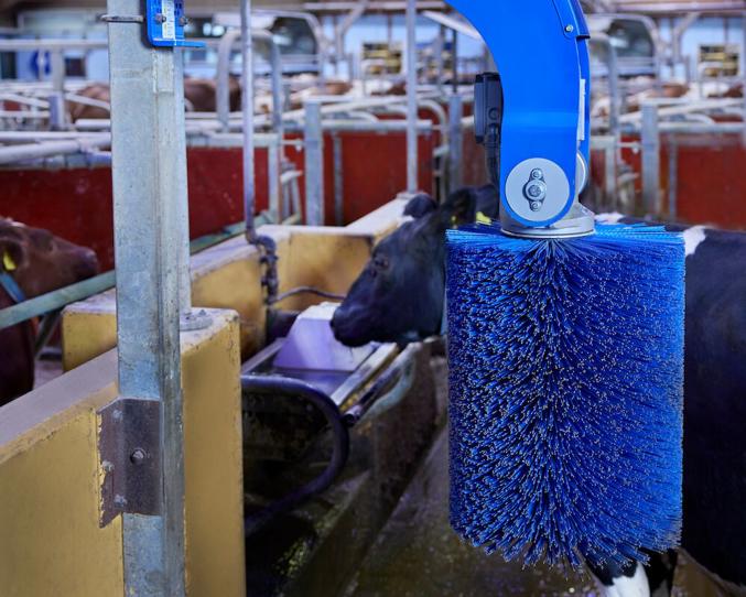 Vervangingsborstel excentrisch voor SCB