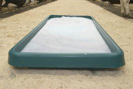 Vasca in PVC verde Prodotto immagine