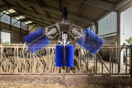 Cepillo rotativo para vacuno de carne DeLaval SBB Imagen del producto