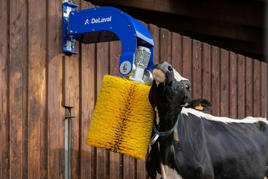 DeLaval sallanan inek fırçası SCB3 Product image