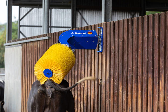 DeLavali õõtsuv sügamishari SCB3