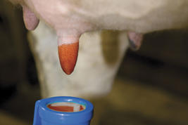 Della One Plus™ Product image