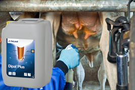 Dipal™ Plus Produkt afbeelding